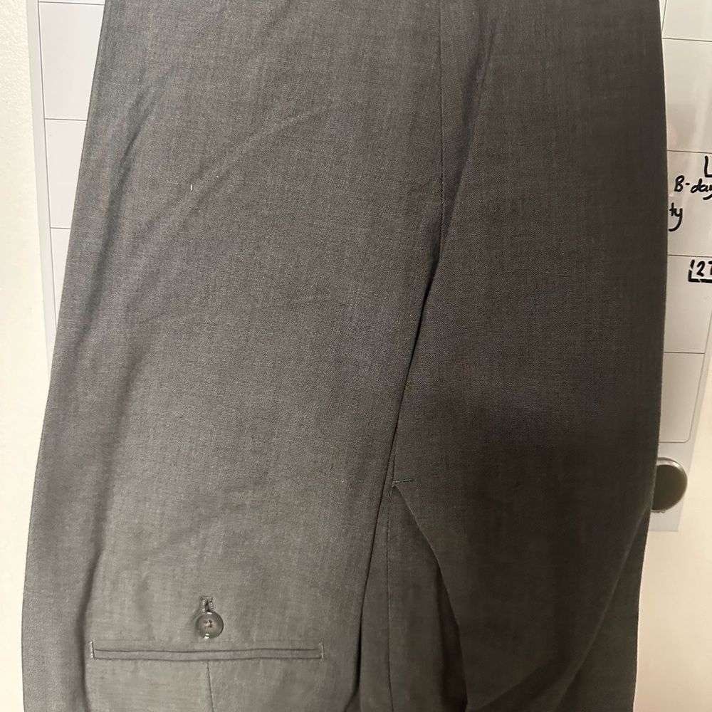 Express Dress Pants